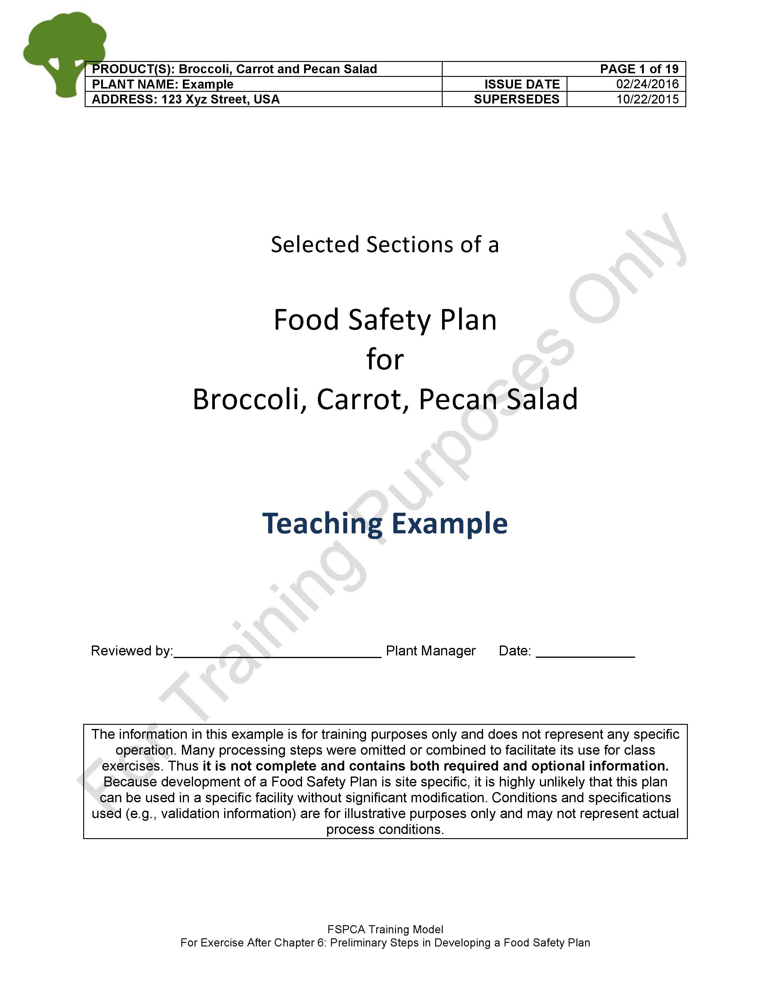 Model Food Plan Vegetable Salad For 5 Participants For