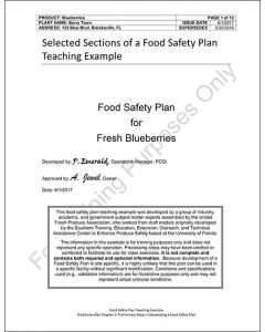 Model Food Plan - Fresh Blueberries For 5 Participants